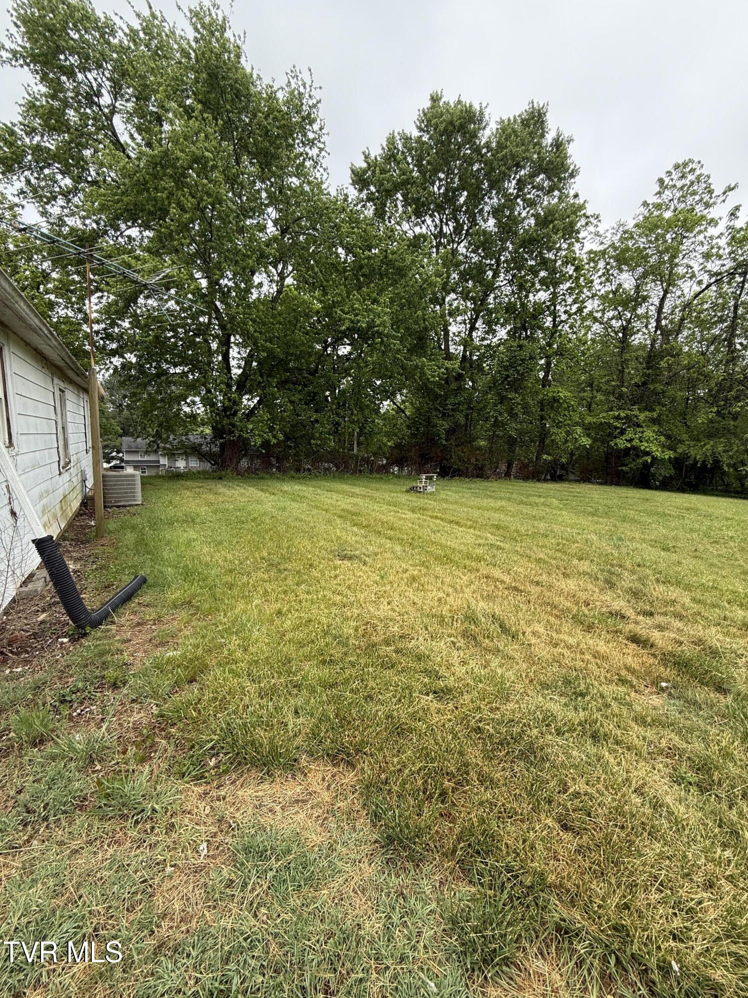 1007 Embreville Road Johnson City, TN 37604 - Photo 9 of 22 IMG_0335