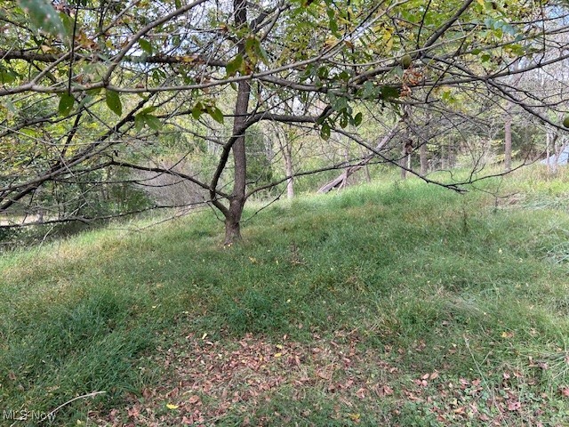1990 Meathouse Fork Road Ravenswood, WV 26164 - Photo 8 of 14
