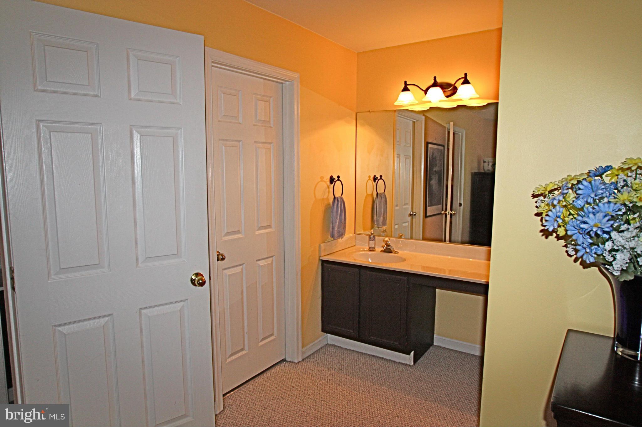 8758 Jarwood Road Baltimore, MD 21237 - Photo 23 of 30 Bath (Master)