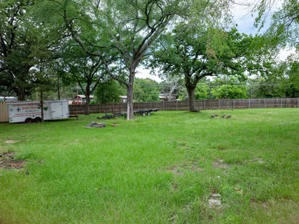 a view of a yard with large trees
