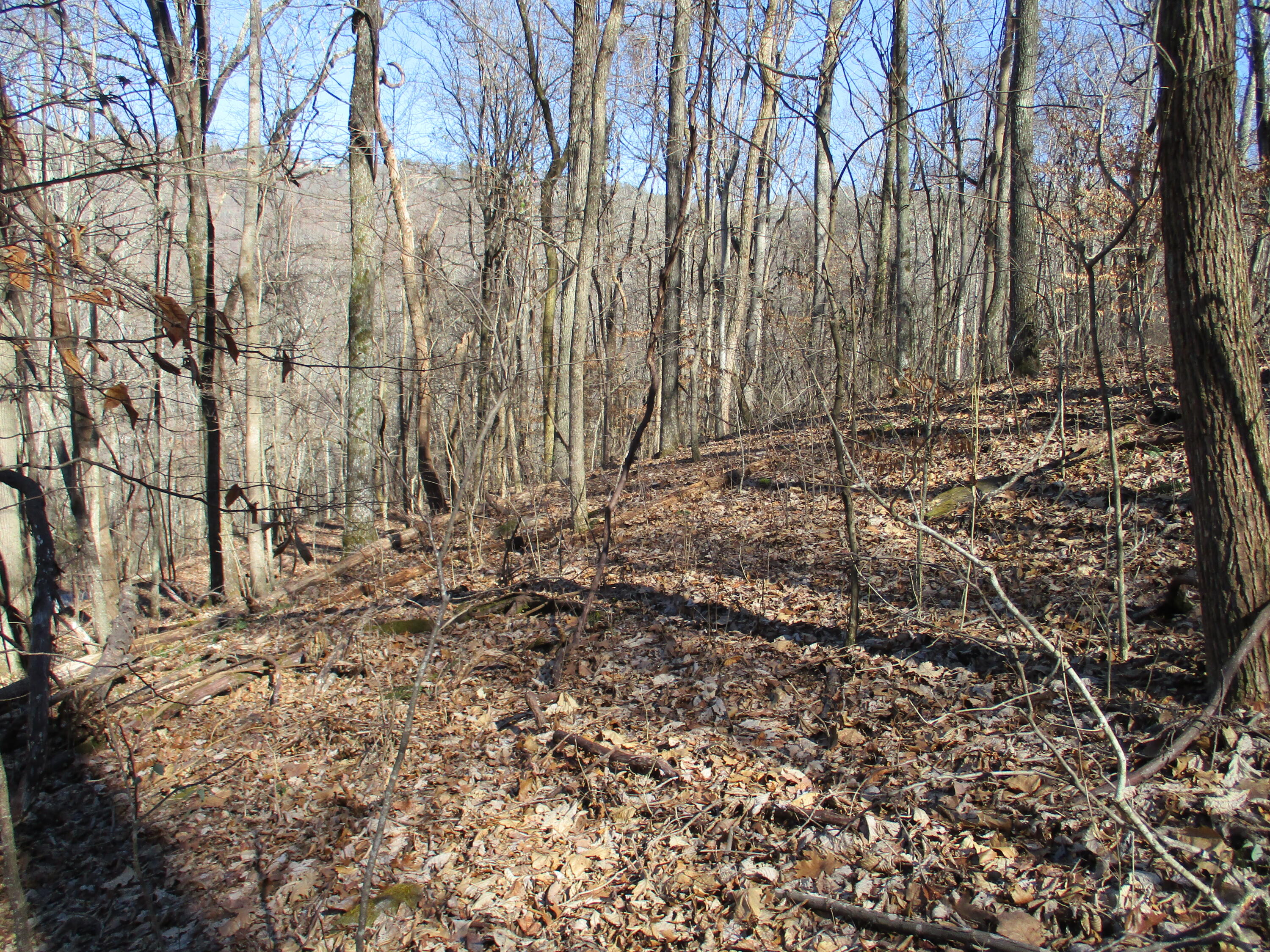 0 Timber Ridge, Unit 30 Pikeville, TN 37367 - Photo 14 of 19 IMG_0514