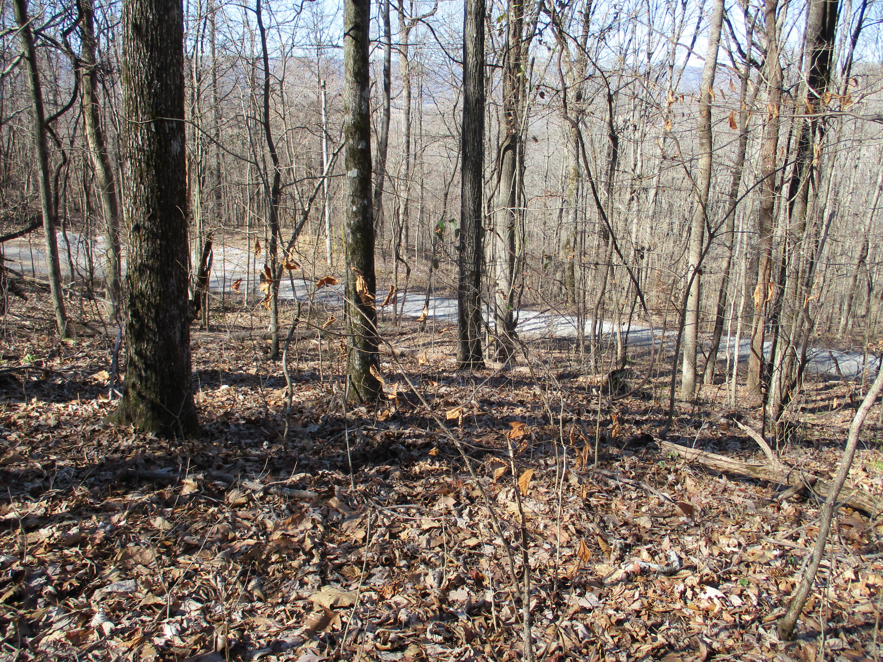 0 Timber Ridge, Unit 30 Pikeville, TN 37367 - Photo 8 of 19 IMG_0509