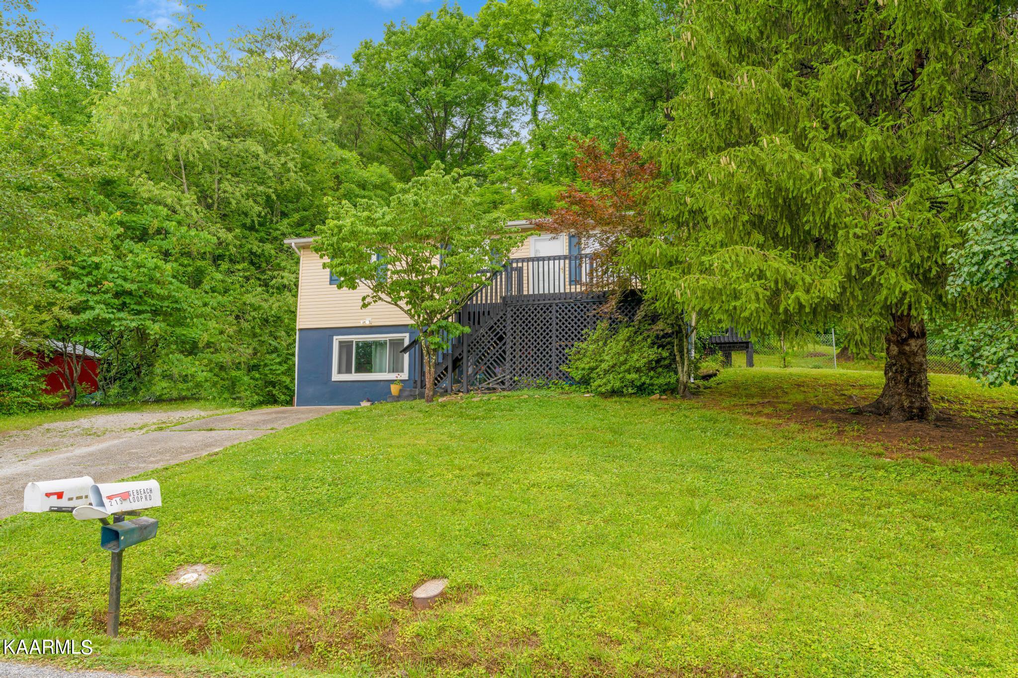 222 Loop Road Caryville, TN 37714 - Photo 26 of 33 DSC09693-Edit