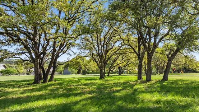 a view of trees with a yard