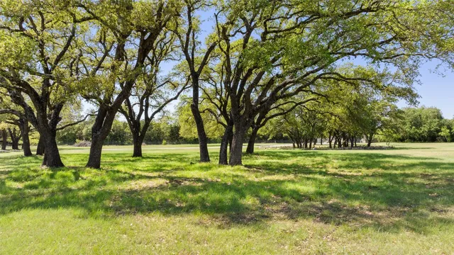 a big yard with trees