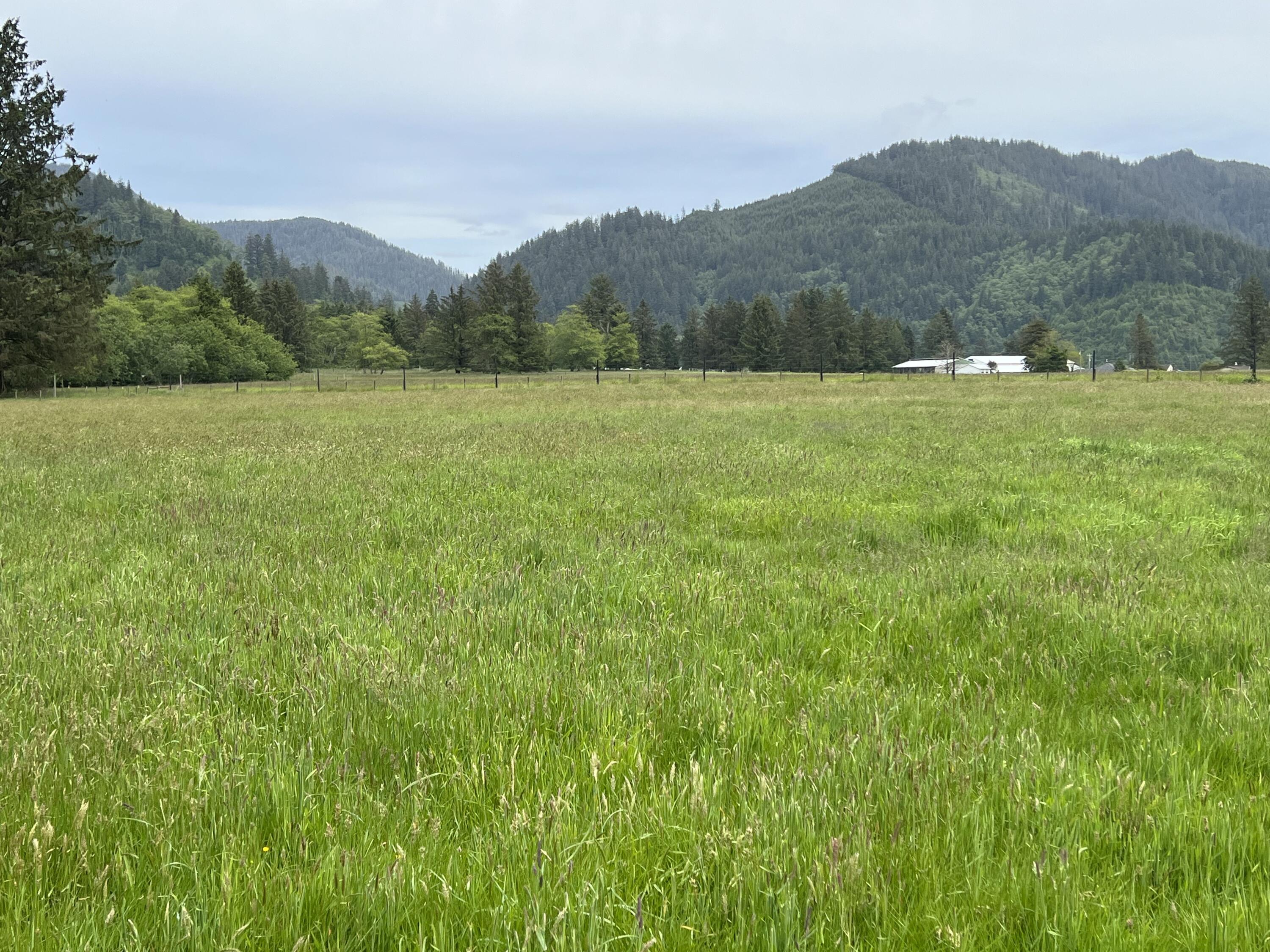 2902 Alderbrook Road Tillamook, OR 97141 - Photo 18 of 26 IMG_1908