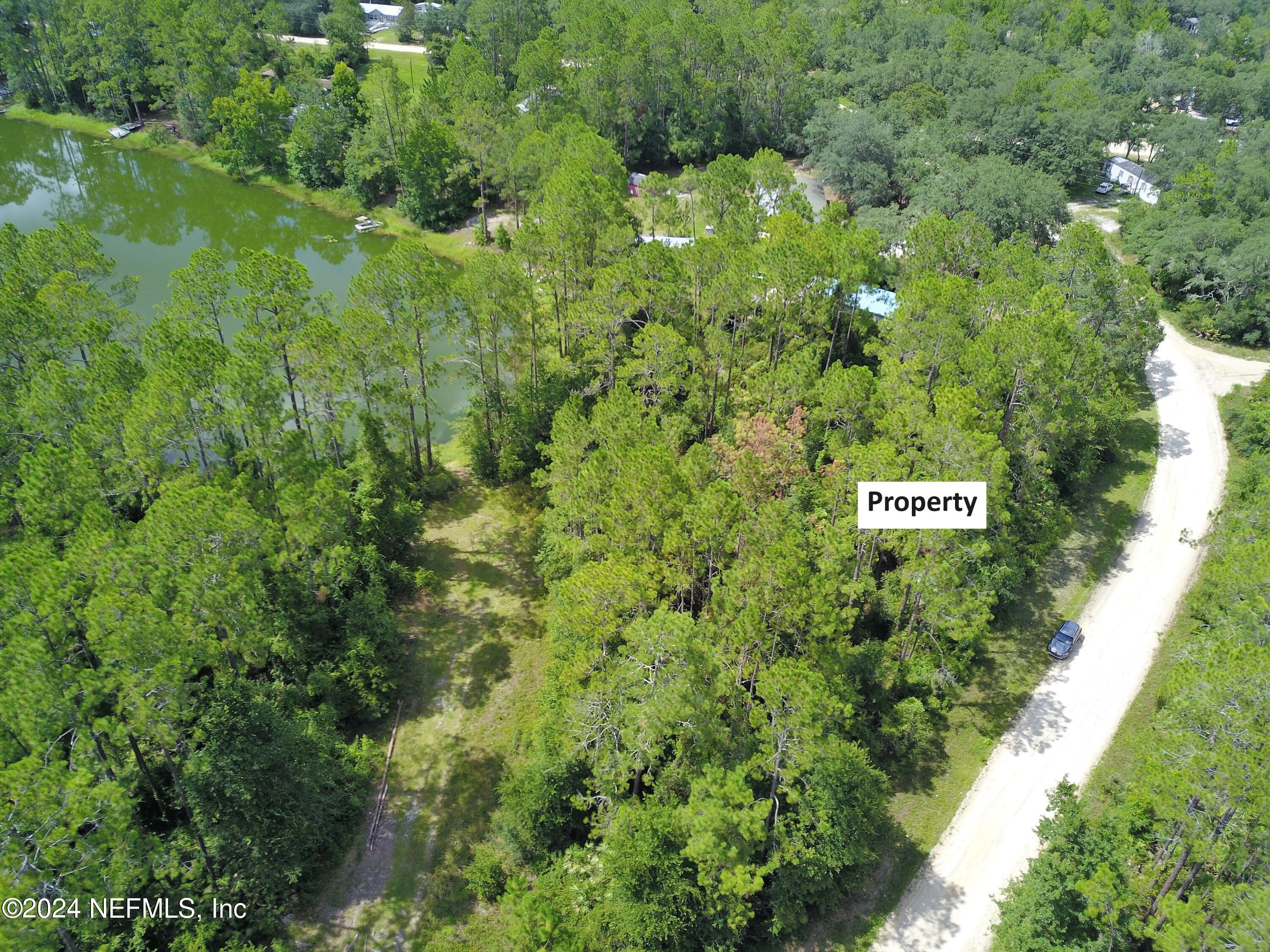 0 Boles Avenue Interlachen, FL 32148 - Photo 4 of 10 a view of a large garden with lots of plants