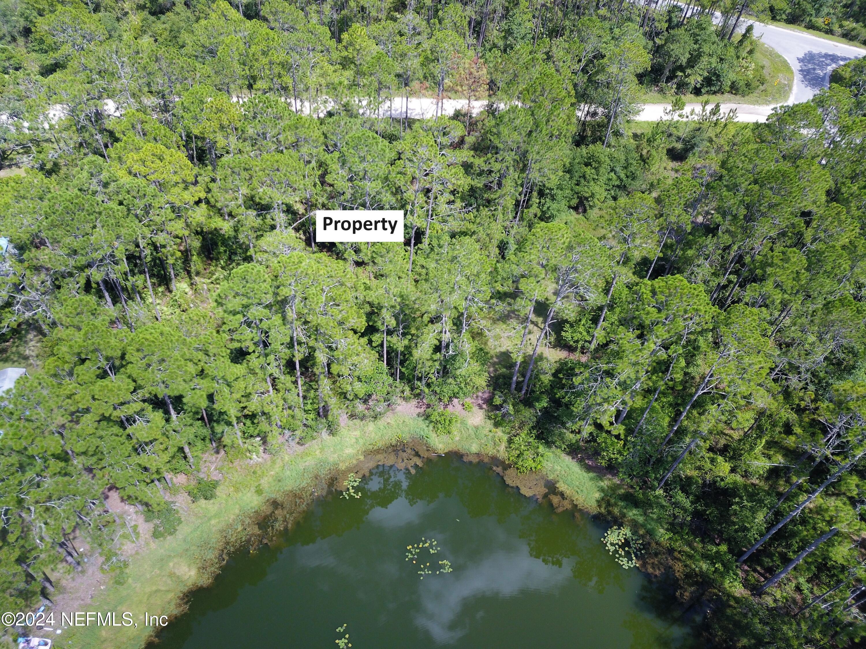 0 Boles Avenue Interlachen, FL 32148 - Photo 5 of 10 a view of a forest with a lake