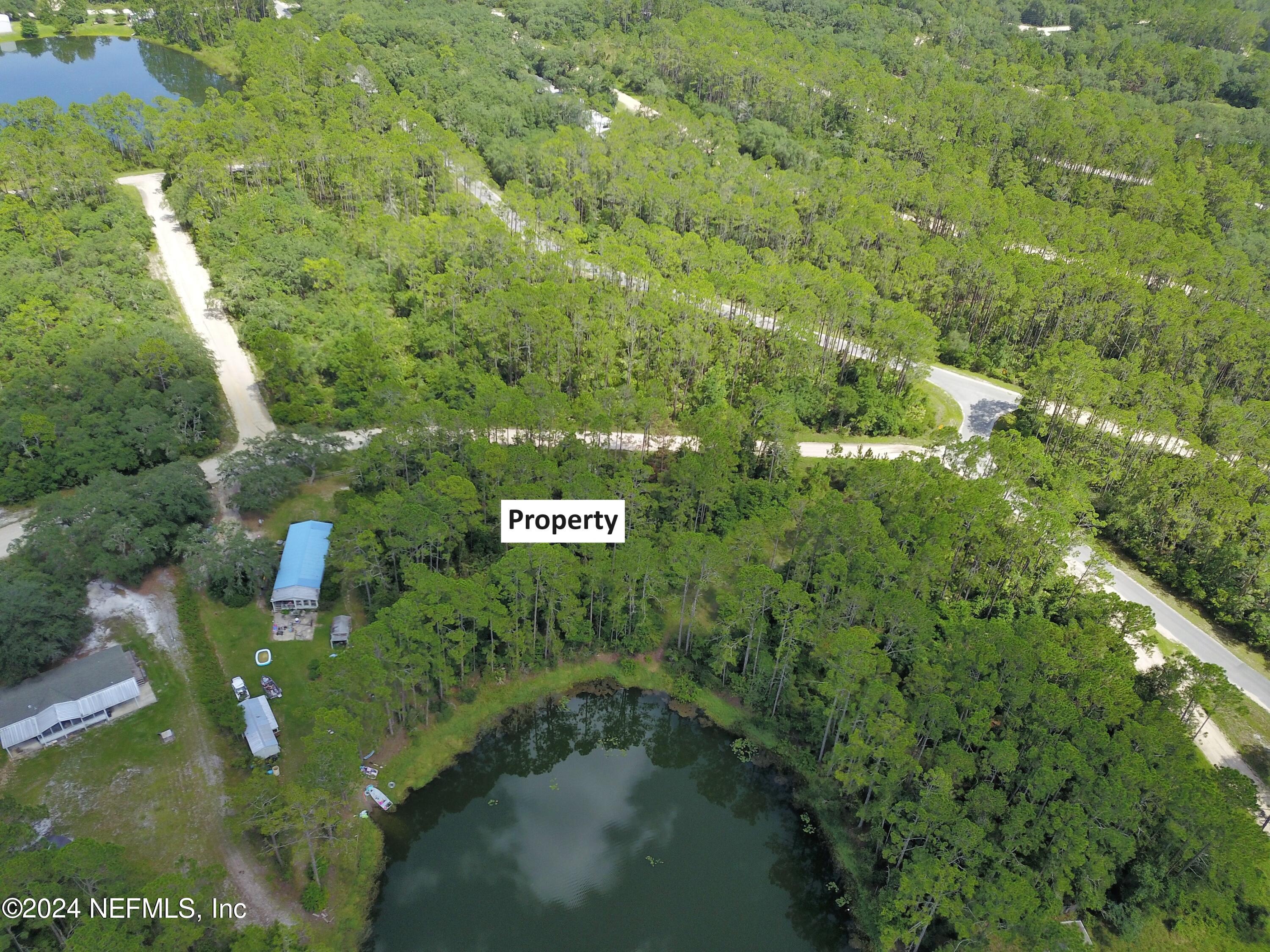 0 Boles Avenue Interlachen, FL 32148 - Photo 6 of 10 a view of a bunch of trees and bushes