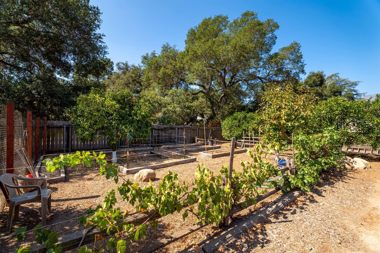 488 South Rice Road Ojai, CA 93023 - Photo 23 of 23 a view of a backyard house with large trees and plants