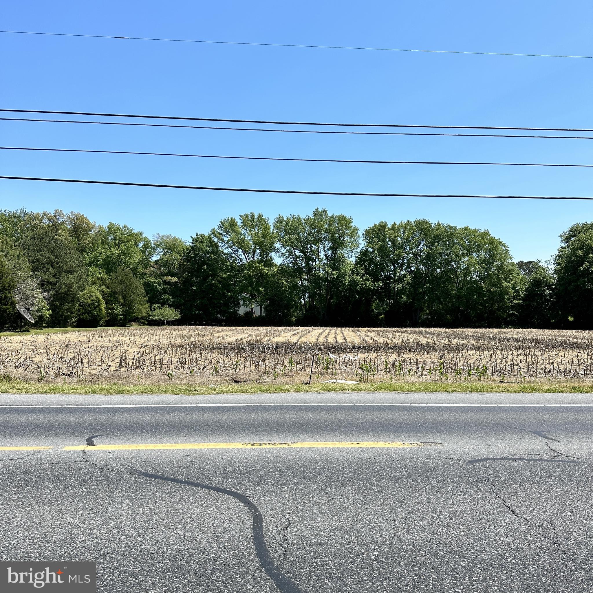 Lot 4 Roxana Road Selbyville, DE 19975 - Photo 1 of 1 Gallery Image 1