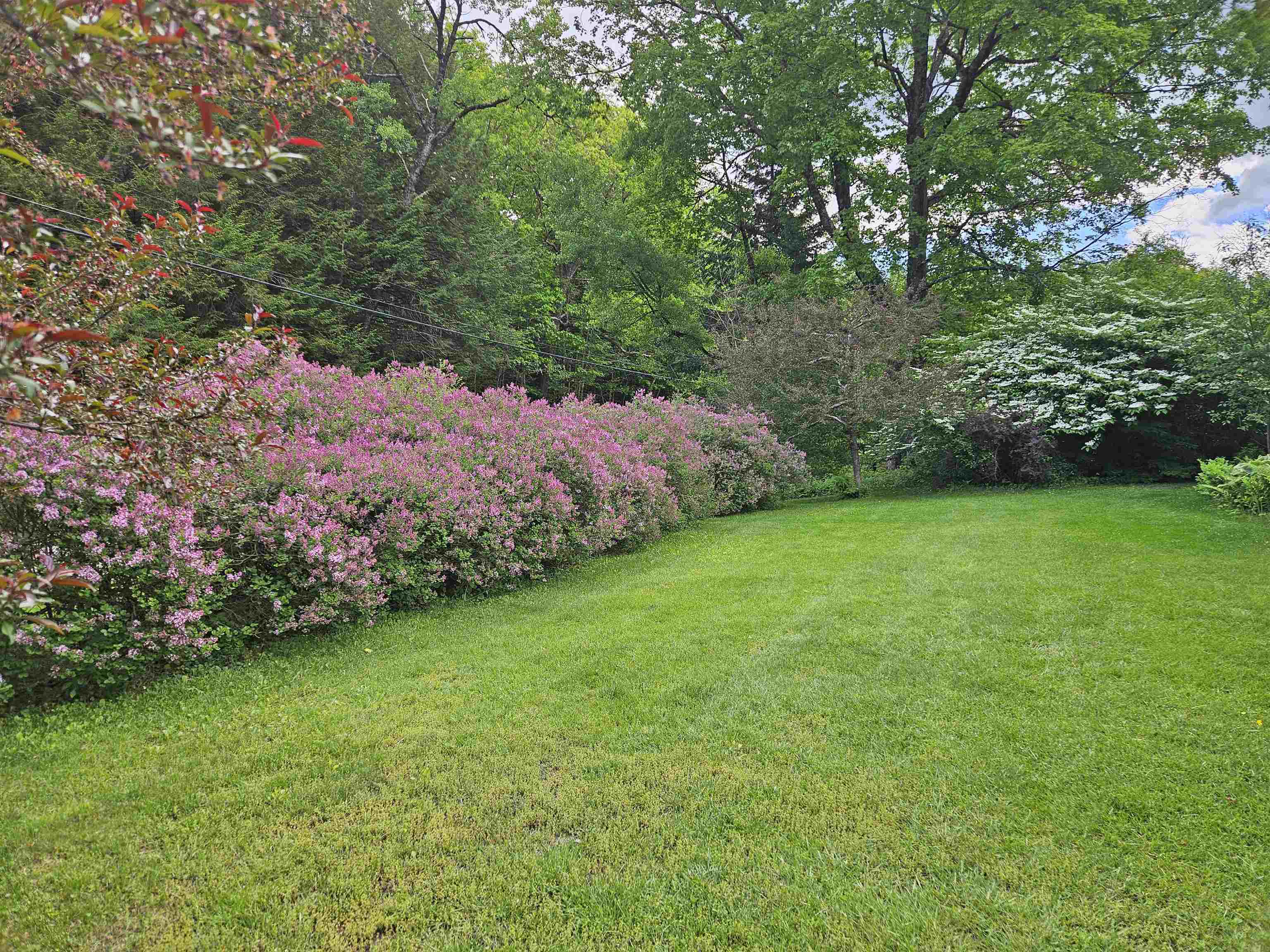 3924 Sweet Pond Road Guilford, VT 05301 - Photo 16 of 59