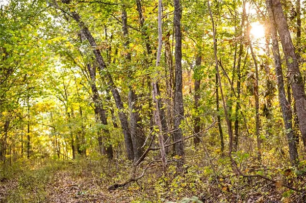 $348,000 | 21395 South S 725 Road, Stockton, MO 65785