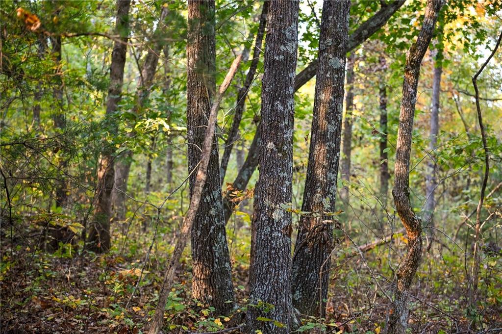 21395 South S 725 Road Stockton, MO 65785 - Photo 25 of 29