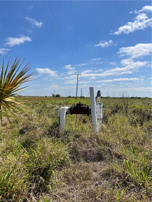 504 East Goodno Road LaBelle, FL 33935 - Photo 2 of 9 a view of a yard