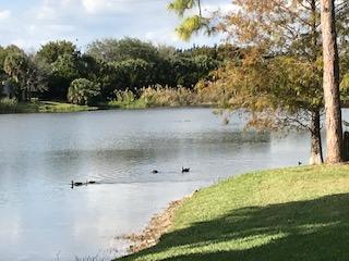 9785 Liberty Road Boca Raton, FL 33434 - Photo 14 of 45 IMG_7426