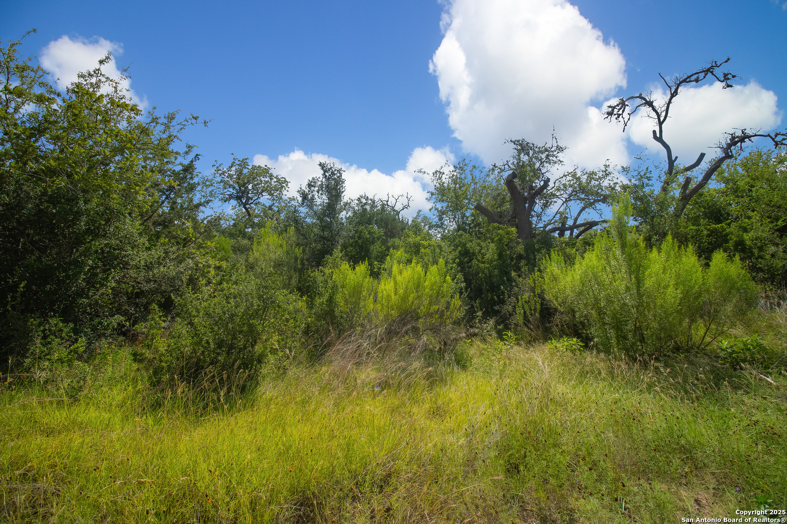 0 Wallace Creek Road Medina, TX 78055 - Photo 11 of 36 a view of a garden