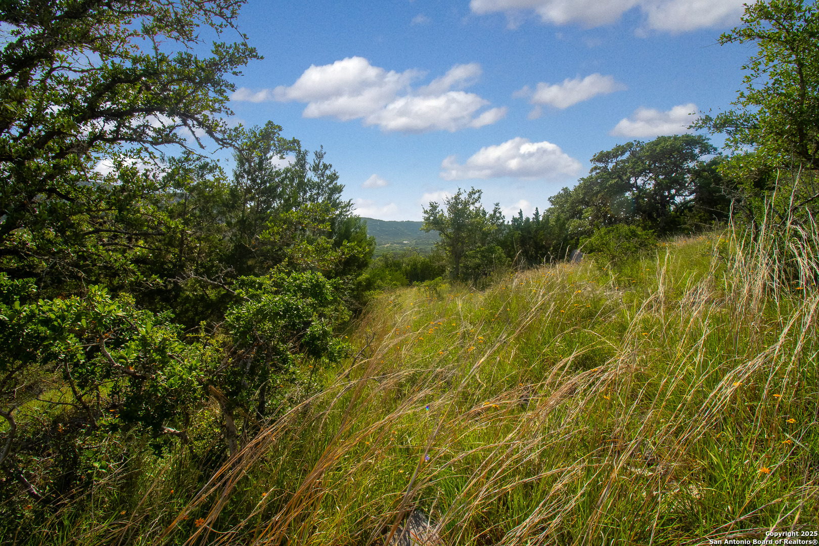 0 Wallace Creek Road Medina, TX 78055 - Photo 16 of 36 a view of lake with green space