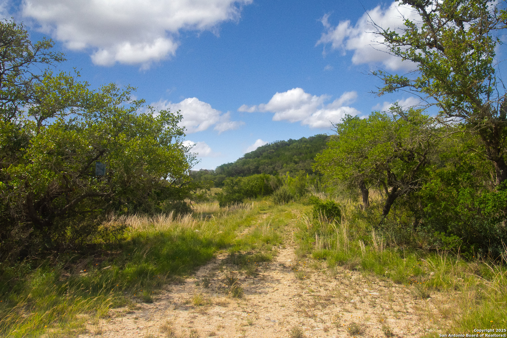 0 Wallace Creek Road Medina, TX 78055 - Photo 33 of 36 a view of a lake