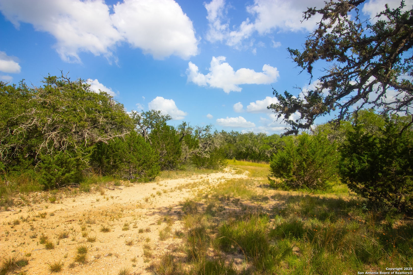 0 Wallace Creek Road Medina, TX 78055 - Photo 5 of 36 a view of a yard with a tree