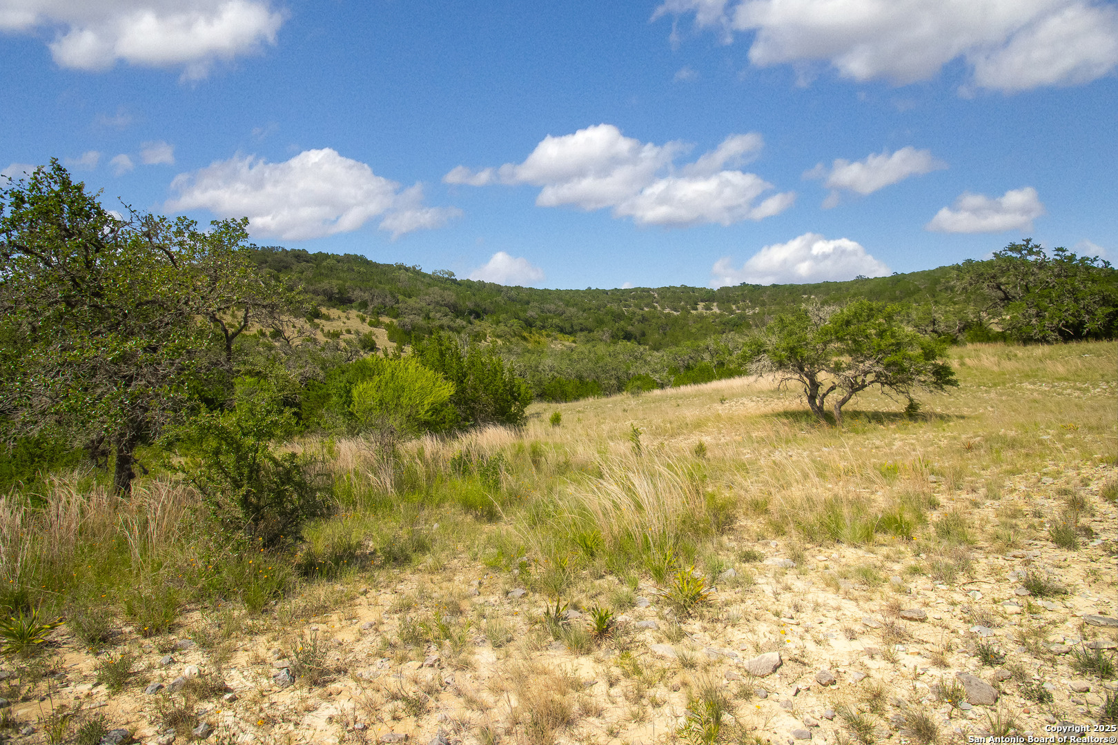 0 Wallace Creek Road Medina, TX 78055 - Photo 8 of 36 a view of a lake with a yard