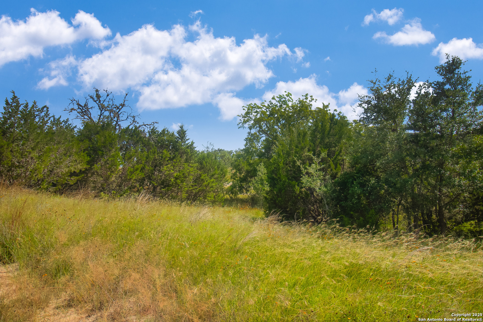 0 Wallace Creek Road Medina, TX 78055 - Photo 9 of 36