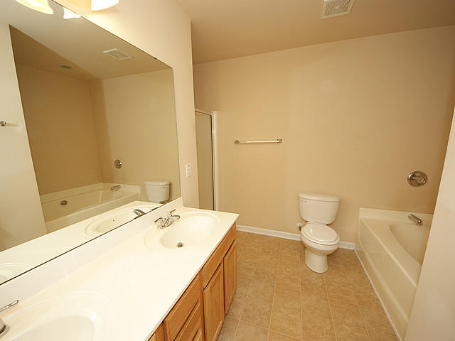 325 Briarbend Road Goose Creek, SC 29445 - Photo 22 of 27 master bathroom