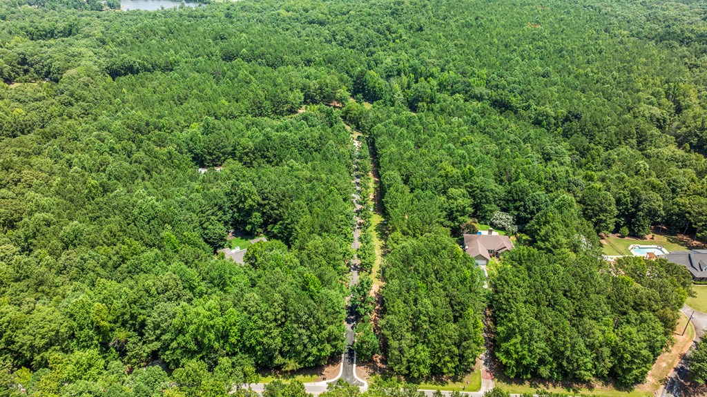 877 McKee Road Waverly Hall, GA 31831 - Photo 59 of 71 Gallery Image 59