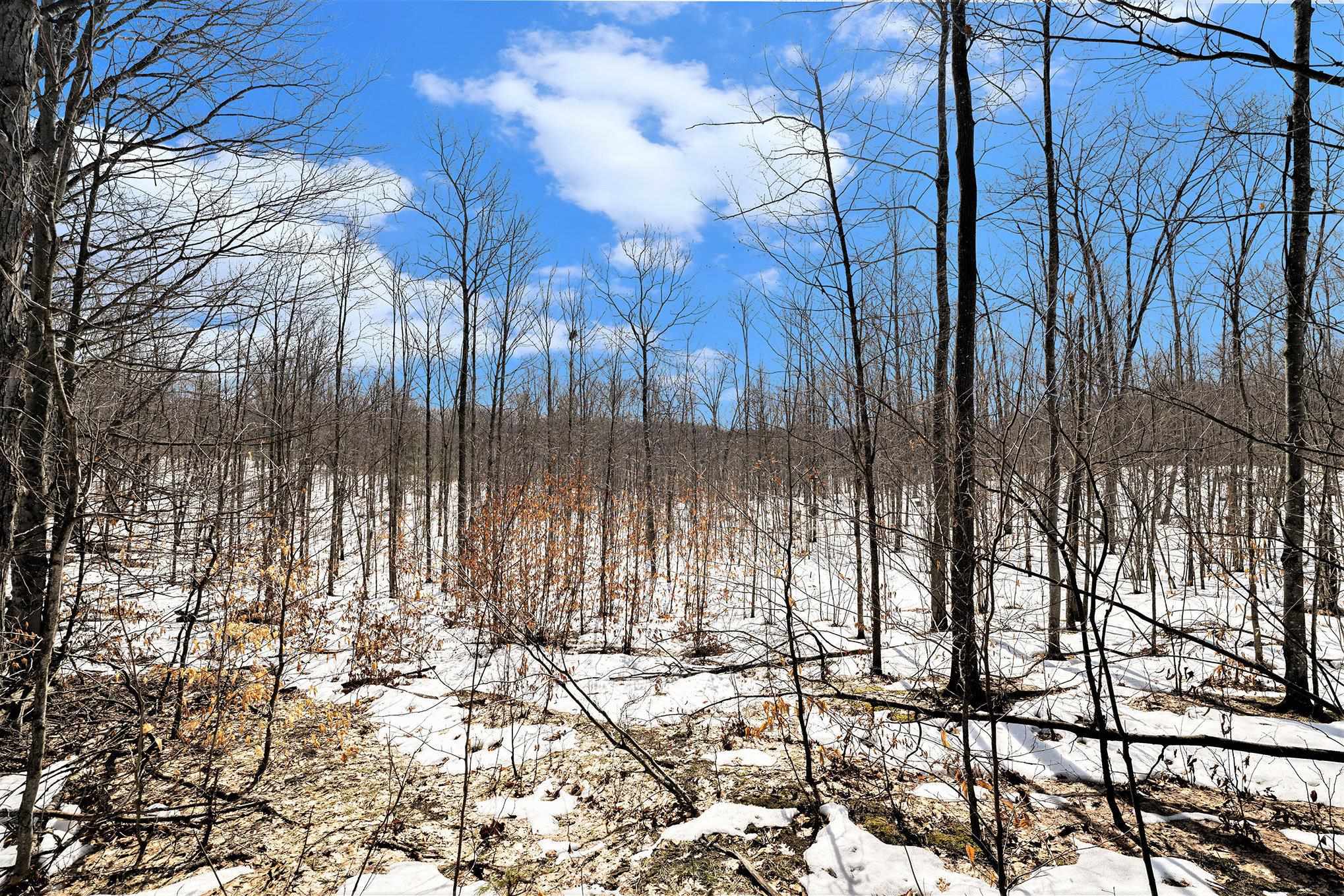 0 Indian Hill Road Honor, MI 49640 - Photo 8 of 16