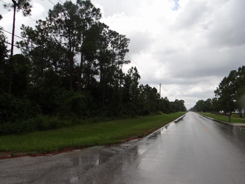 DSC05091 (800x600)