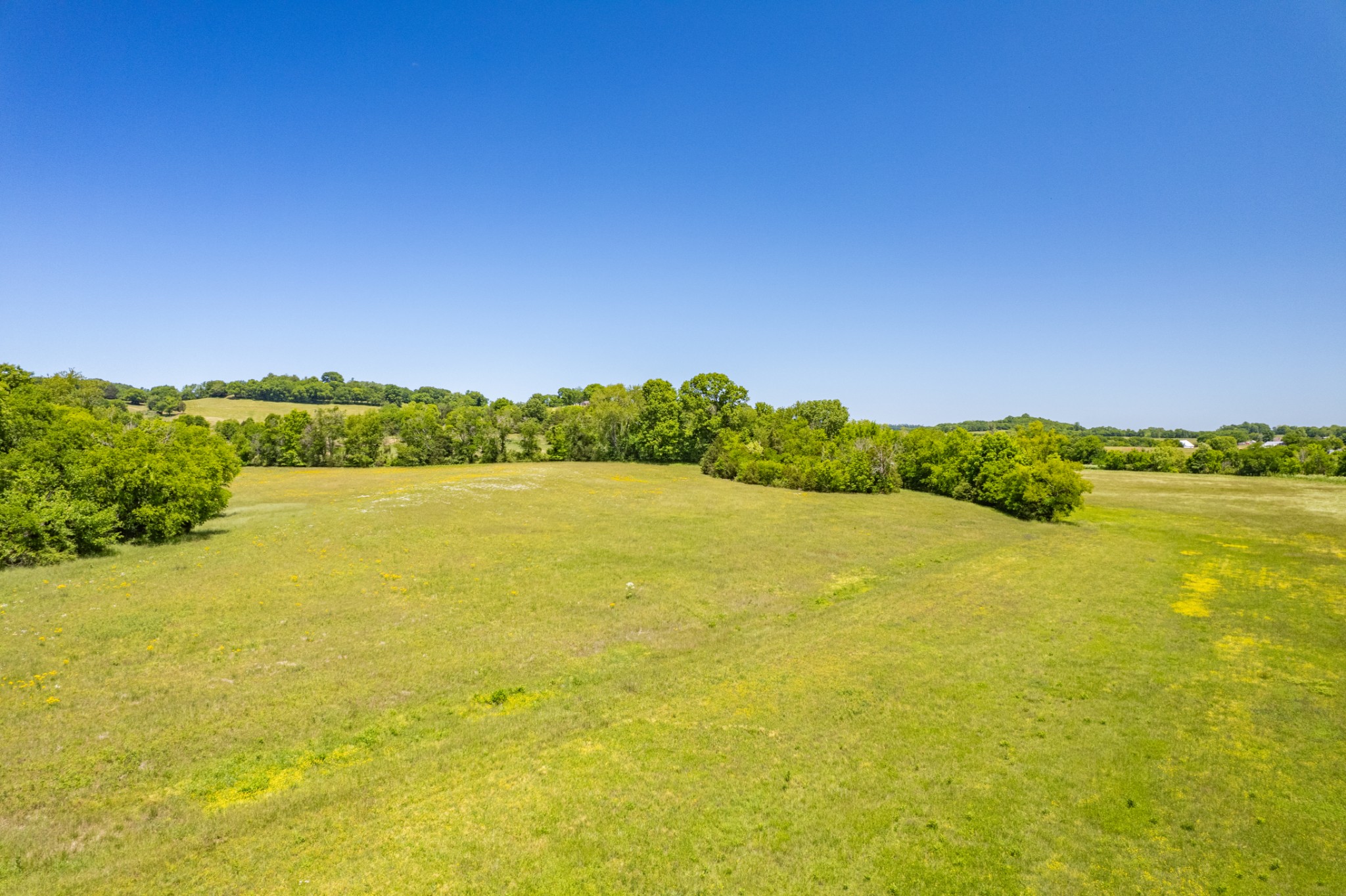 32 Hart Leonard Road Cornersville, TN 37047 - Photo 19 of 58 a view of an ocean from a city