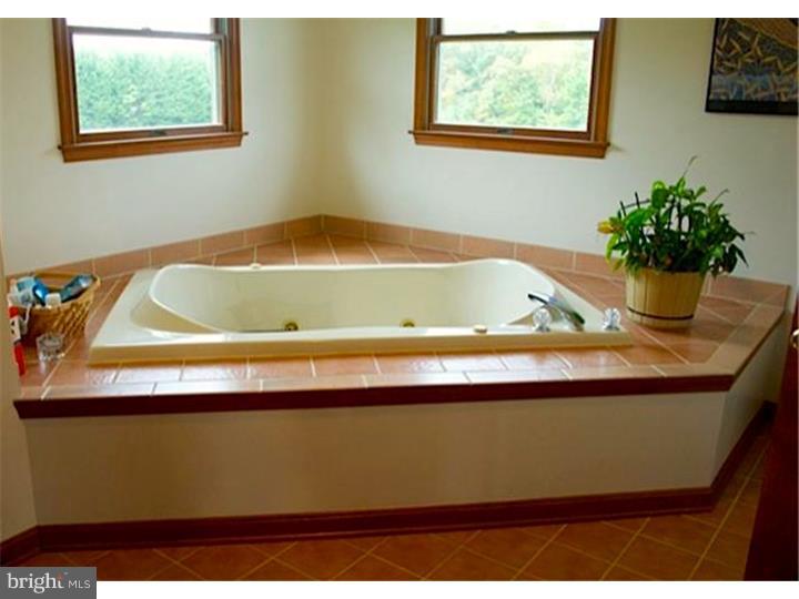 333 Money Road Townsend, DE 19734 - Photo 11 of 22 Master Bathroom