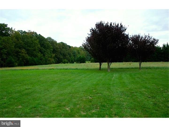 333 Money Road Townsend, DE 19734 - Photo 21 of 22 Gallery Image 21