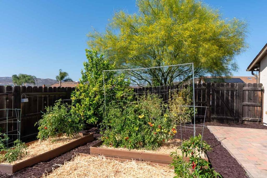 11007 Crystal Springs Road Santee, CA 92071 - Photo 31 of 33 Backyard Garden Area