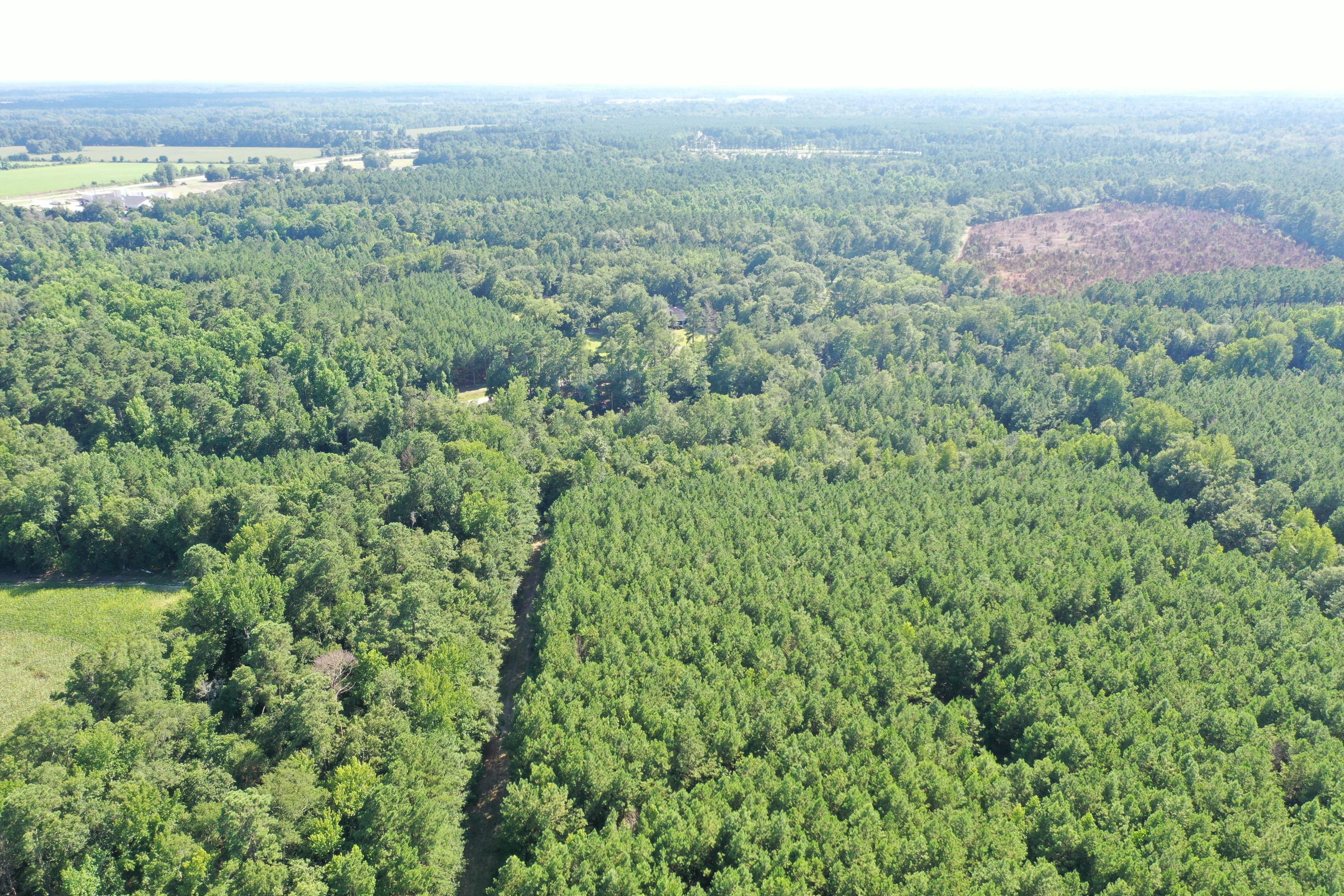 0 Till Road Orangeburg, SC 29115 - Photo 3 of 22 DJI_0838