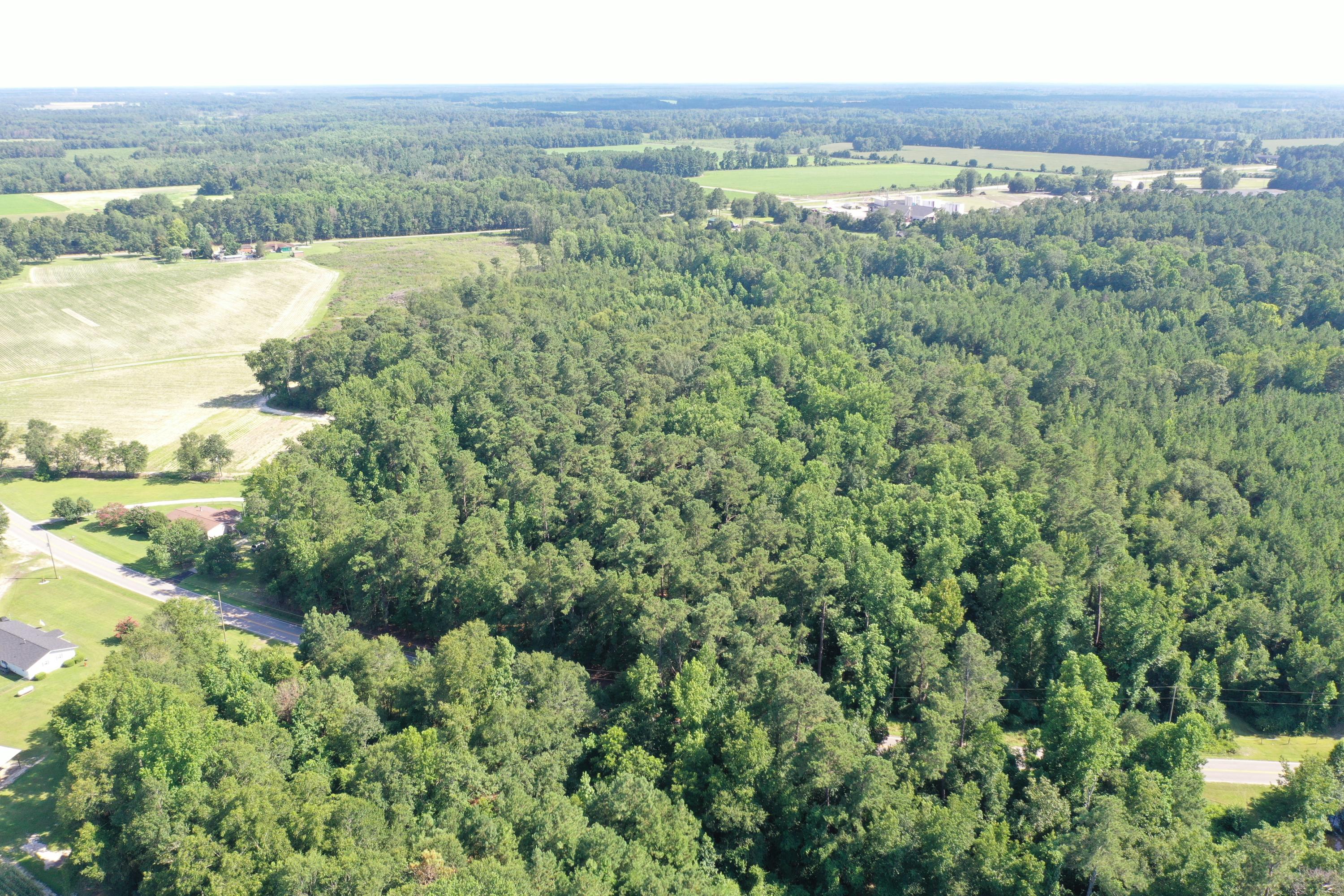 0 Till Road Orangeburg, SC 29115 - Photo 4 of 22 DJI_0839