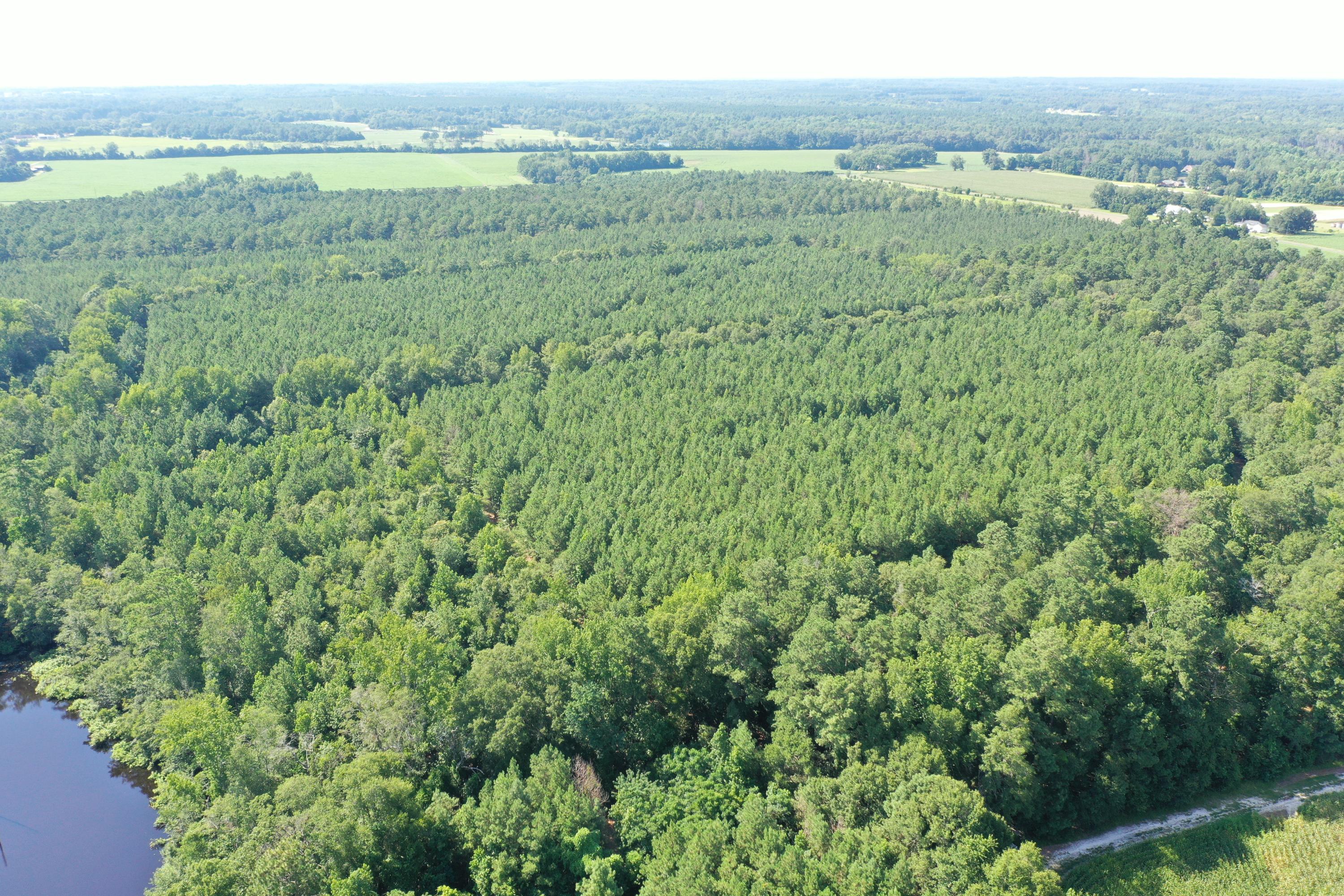 0 Till Road Orangeburg, SC 29115 - Photo 5 of 22 DJI_0840