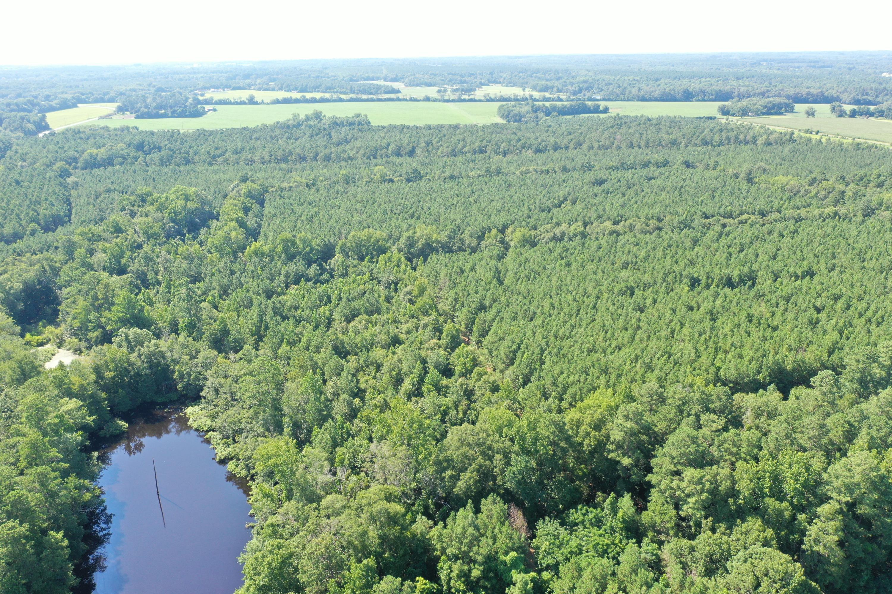 0 Till Road Orangeburg, SC 29115 - Photo 6 of 22 DJI_0841