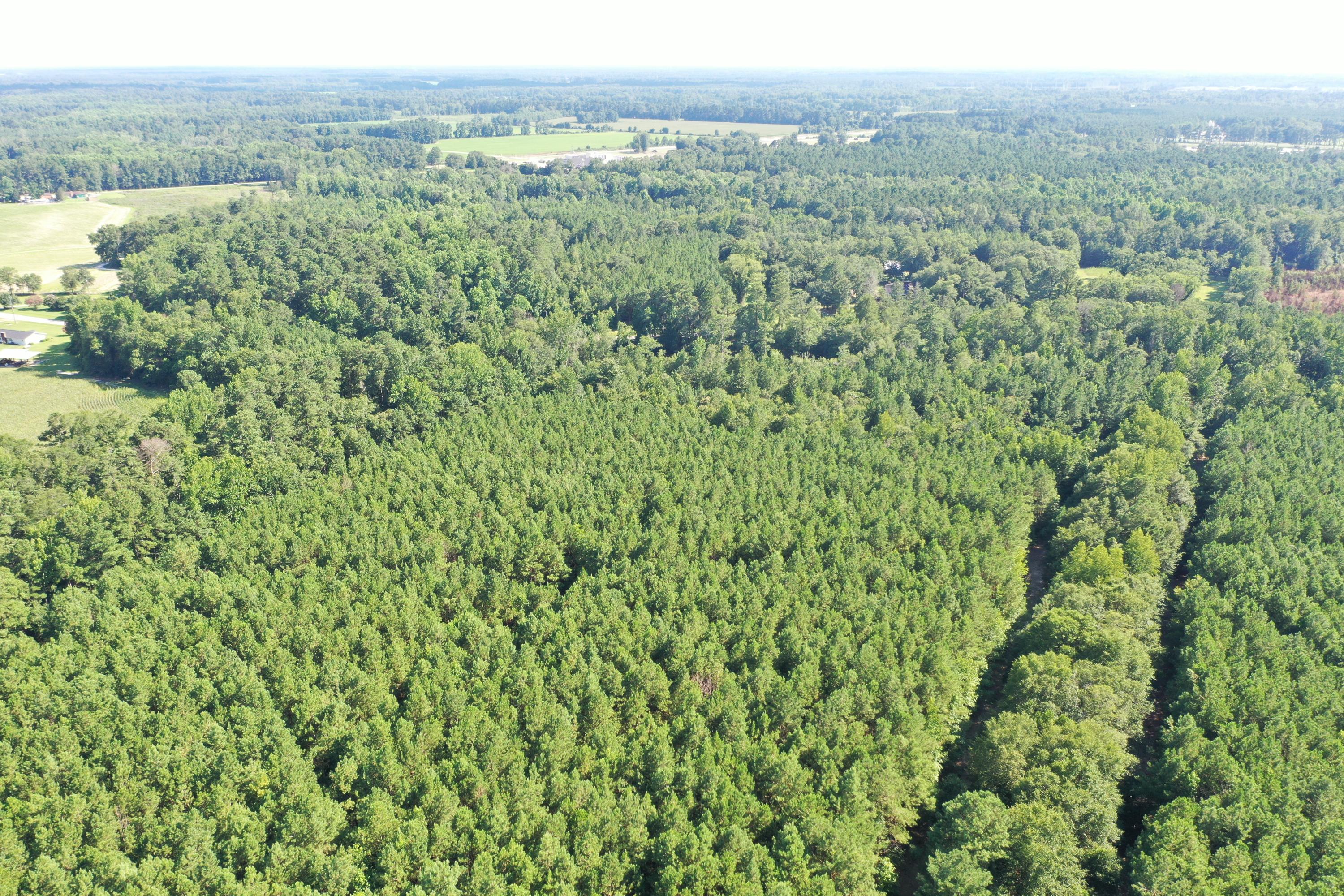 0 Till Road Orangeburg, SC 29115 - Photo 8 of 22 DJI_0847