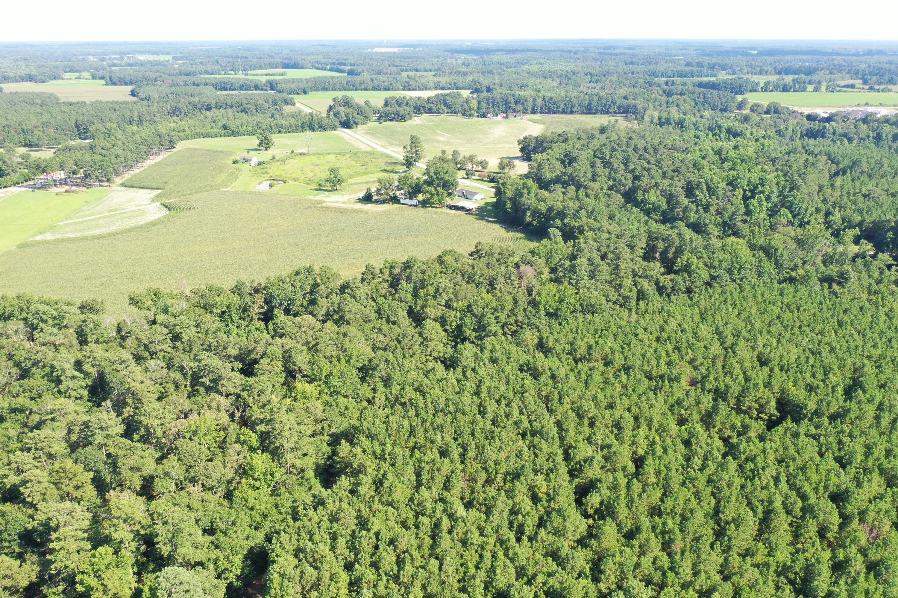 0 Till Road Orangeburg, SC 29115 - Photo 9 of 22 DJI_0848