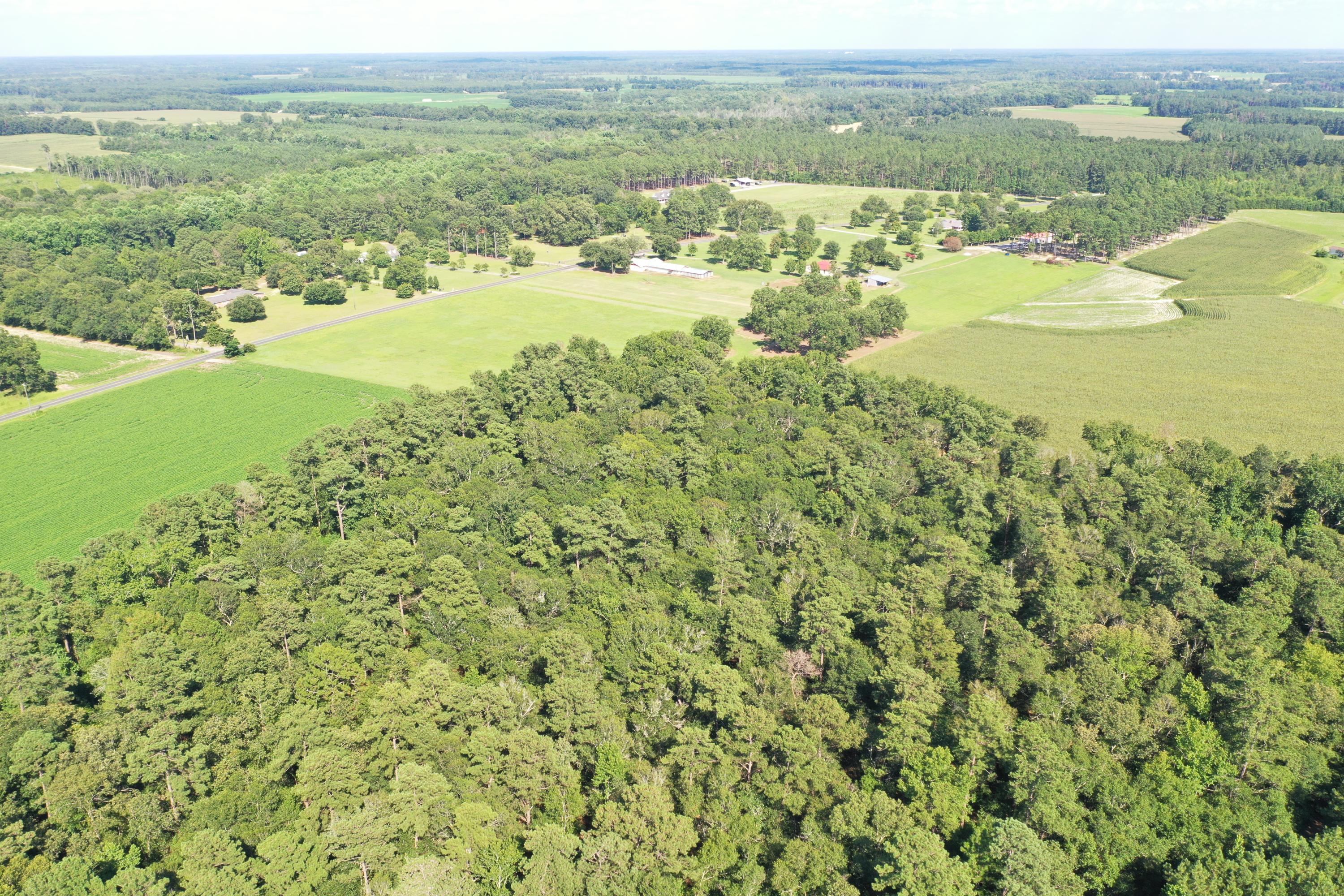 0 Till Road Orangeburg, SC 29115 - Photo 10 of 22 DJI_0849