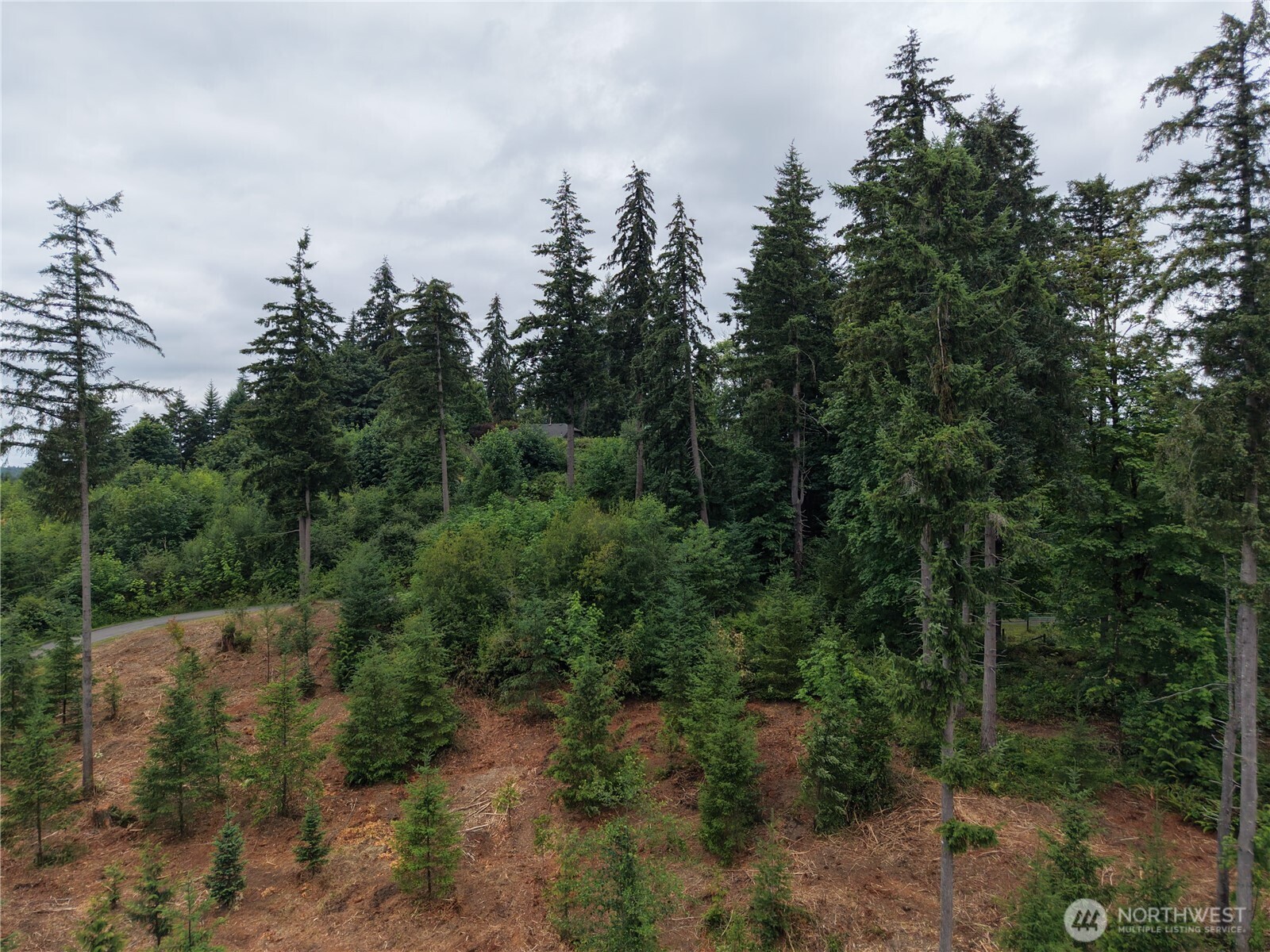 12345 Case Road Southwest Olympia, WA 98512 - Photo 13 of 35