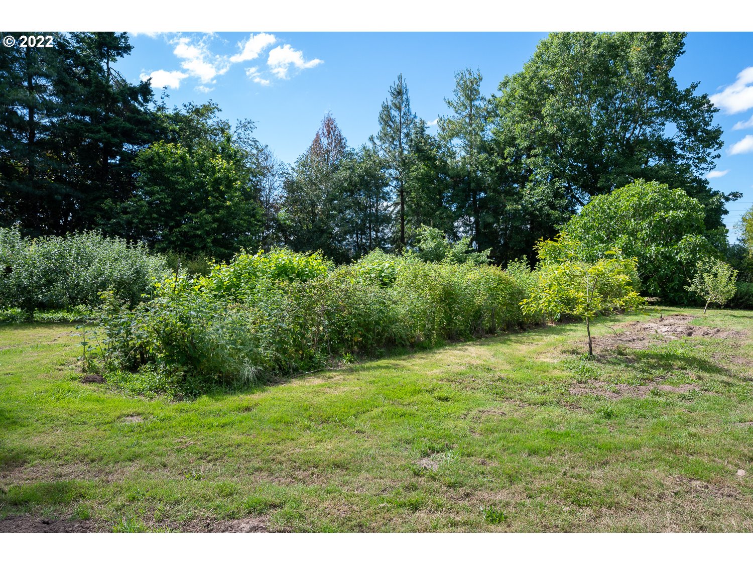 13340 Northeast Denbrook Road Aurora, OR 97002 - Photo 24 of 32 Gallery Image 24