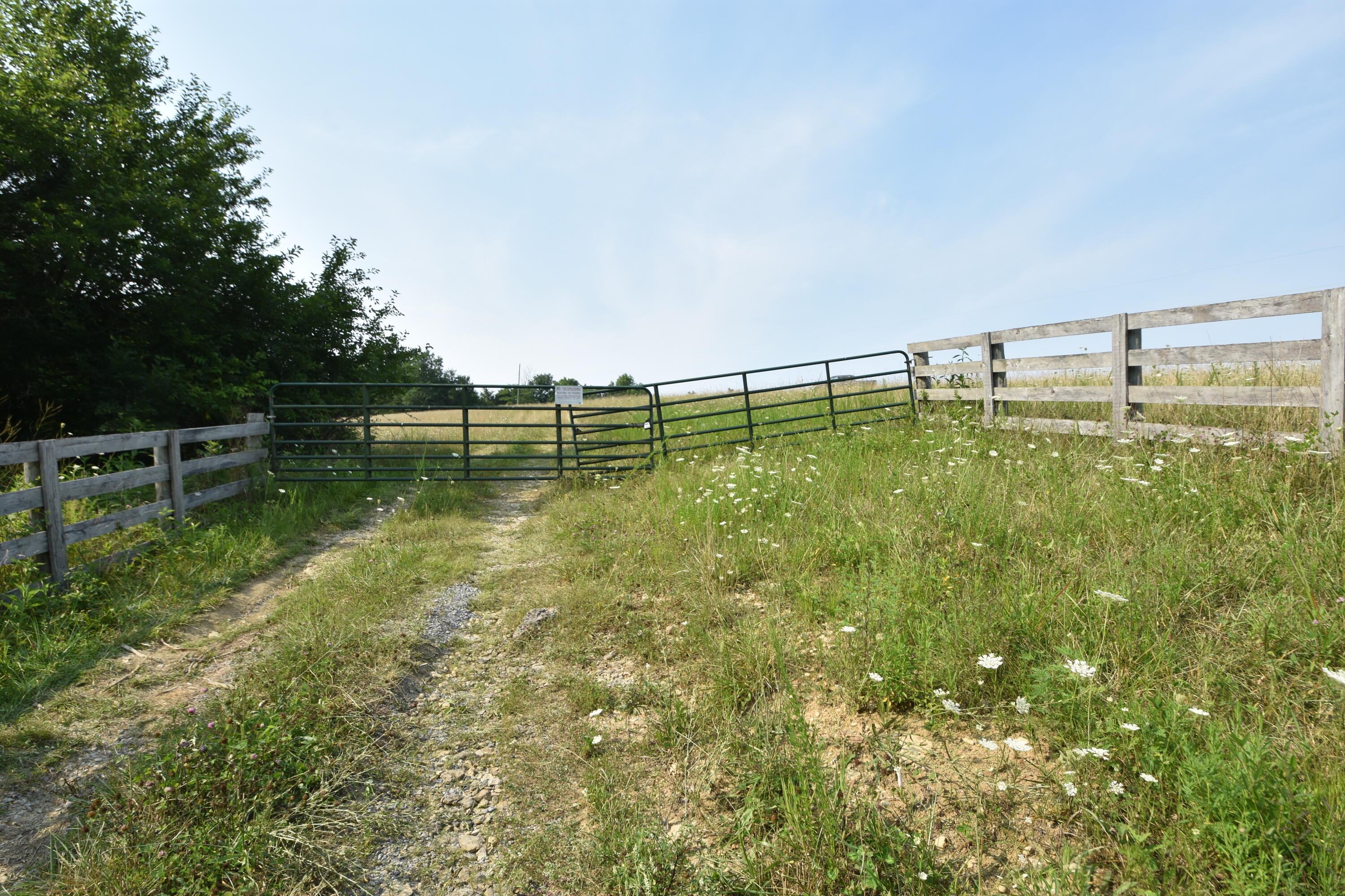 580 Fallis Run Road Harrodsburg, KY 40330 - Photo 1 of 43 DSC_0330
