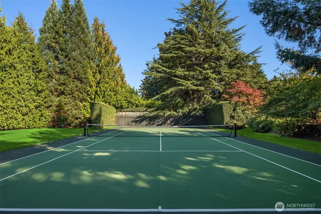 a view of a park with large trees