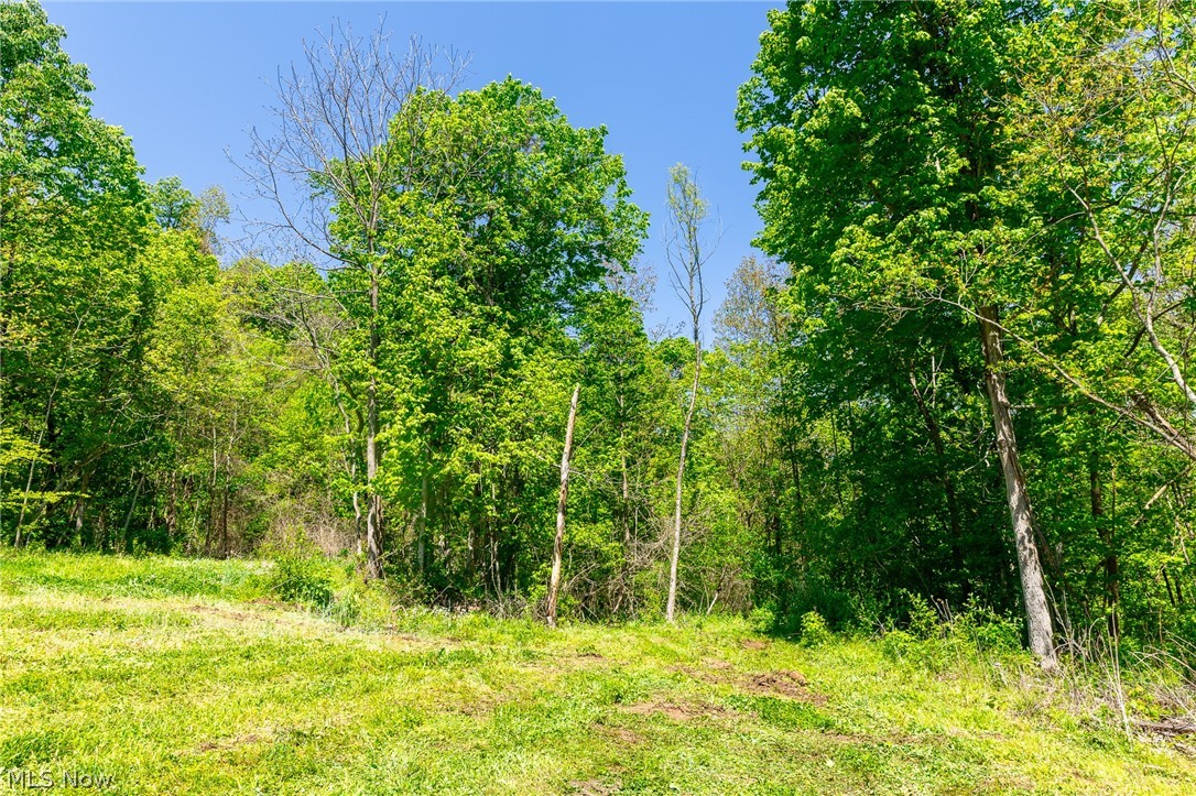 37500 Goose Run Road Dexter City, OH 45727 - Photo 36 of 50