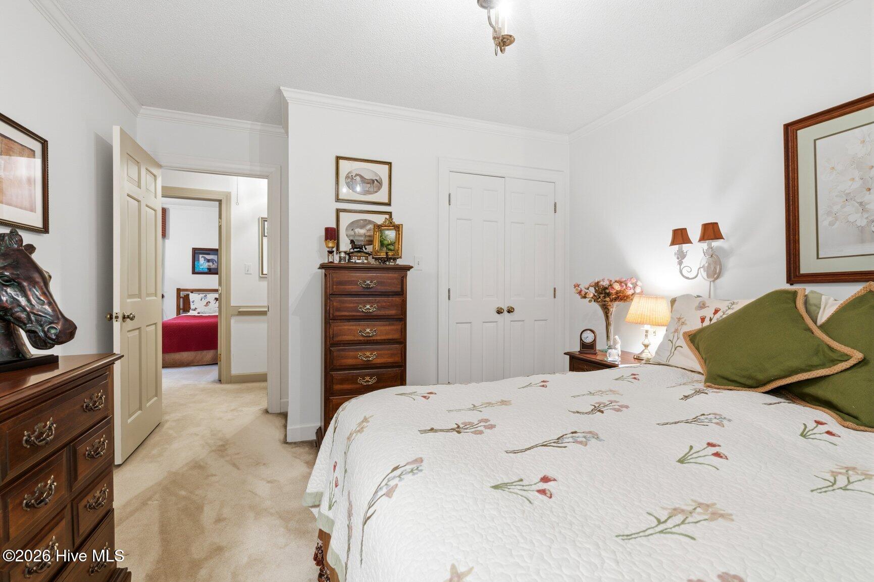 133 Steeple Chase Road Rocky Mount, NC 27804 - Photo 35 of 55 Bedroom 2
