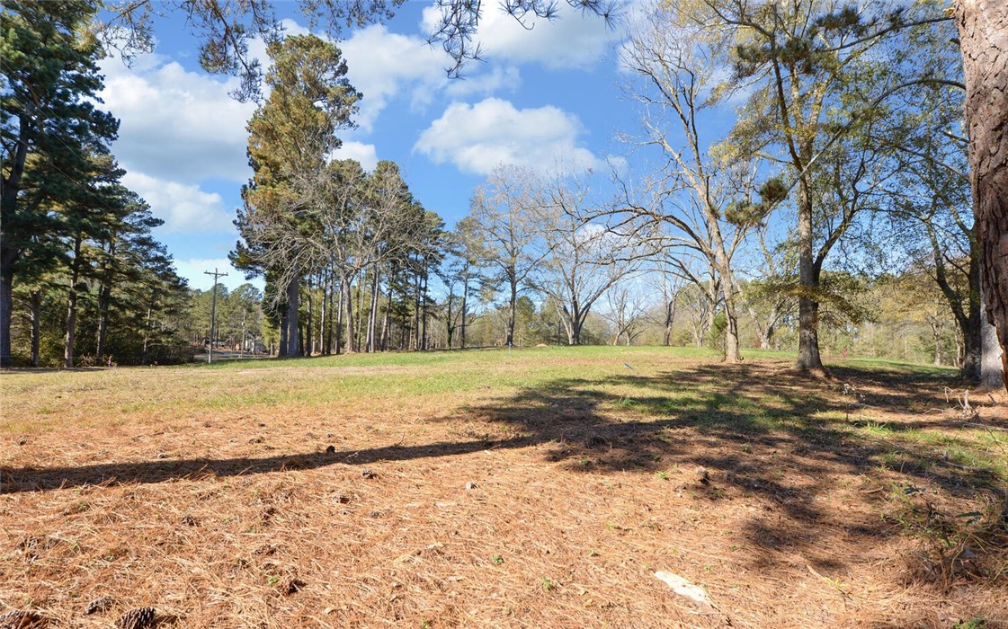 0 Rigby Road Hartwell, GA 30643 - Photo 4 of 13