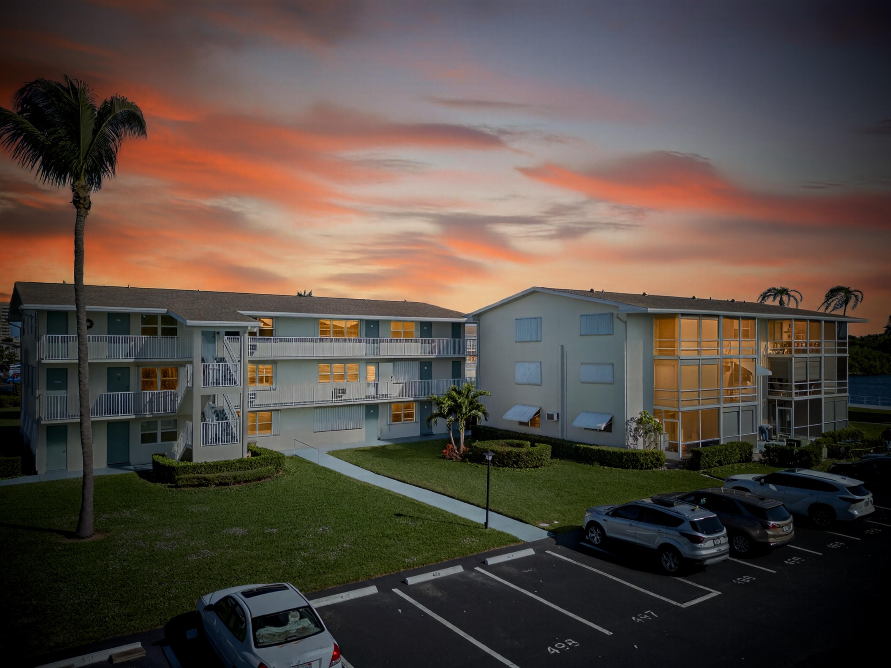 a view of a street with potted plants and a large tree