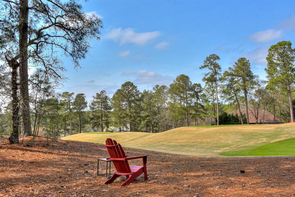 121 Pine Needle Road Aiken, SC 29803 - Photo 59 of 66